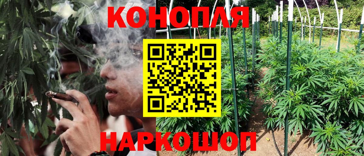 Бошки марихуана VHQ  Вход с VPN  Минусинск  Марихуана SATIVA & INDICA  Бошки Шишки MAZAR 